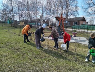 В Кузбассе в этом году высадят почти два миллиона деревьев
