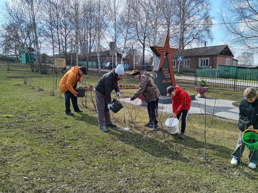 В Кузбассе в этом году высадят почти два миллиона деревьев
