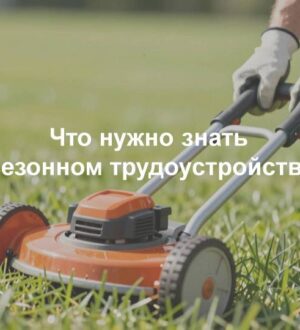 Инспекция труда Кузбасса раскрыла тонкости сезонного трудоустройства