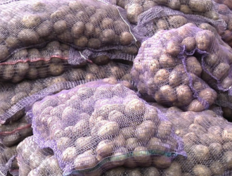 В России сильно подешевели четыре овоща