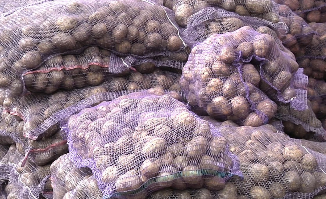 В России сильно подешевели четыре овоща