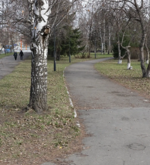 В Кемерове стартовал первый этап капремонта парка «Антошка»