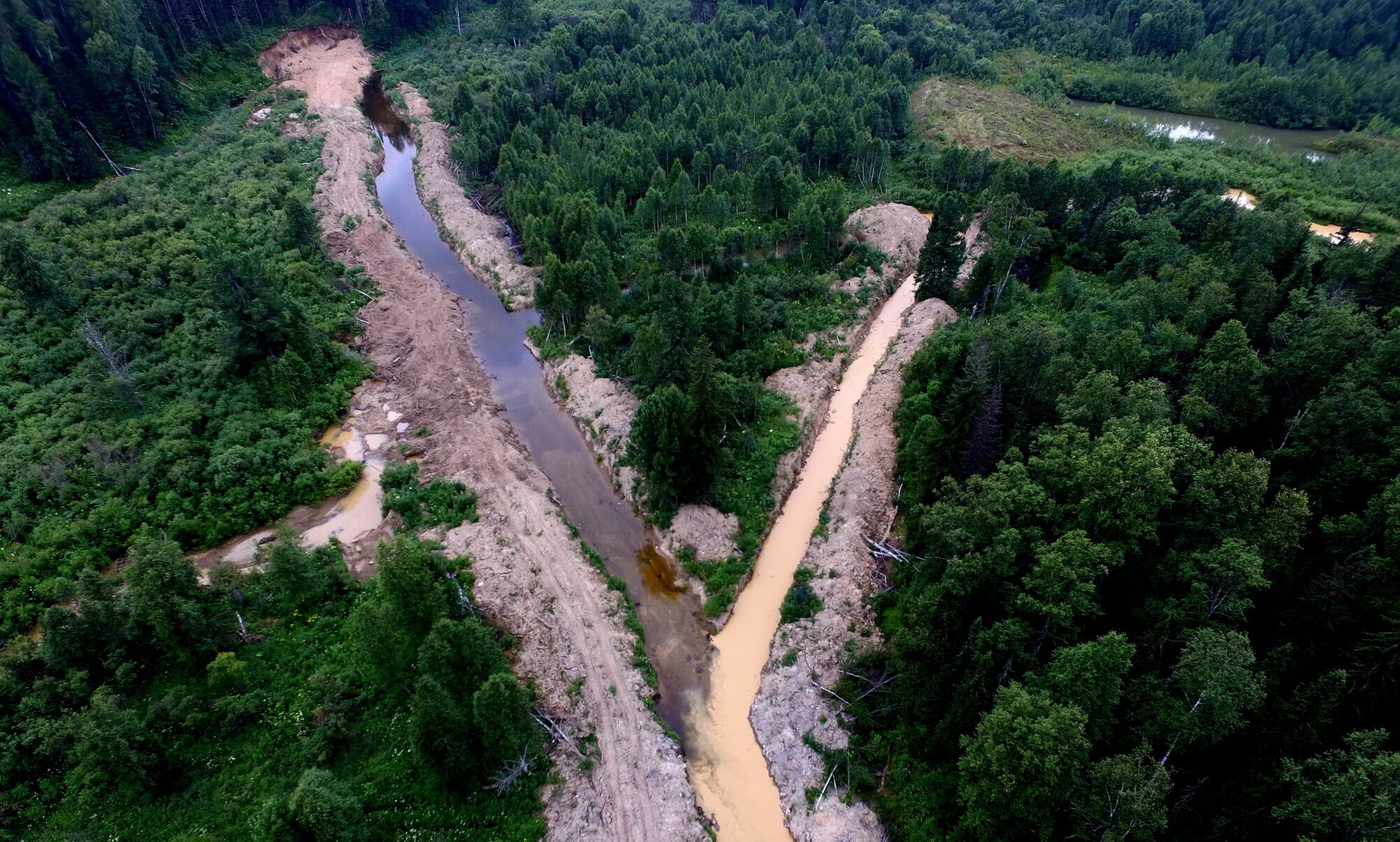 В России контролировать недропользователей начали с помощью искусственного интеллекта