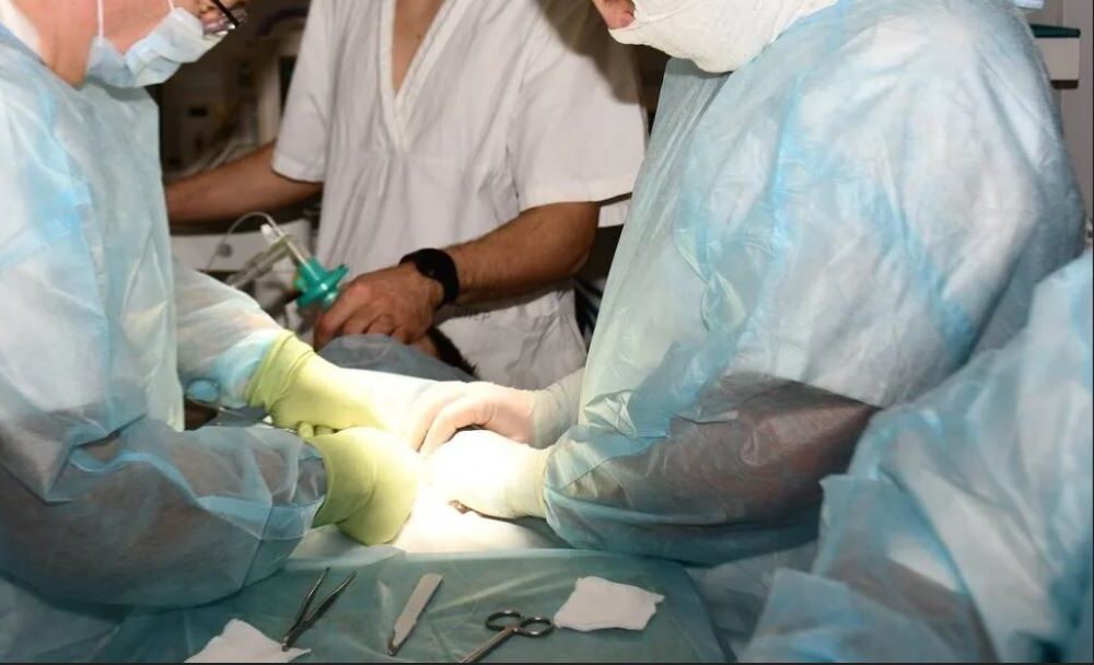 В России хирургическую помощь по ОМС могут получить граждане с ожирением