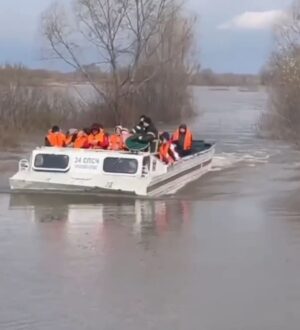 МЧС: более 90 населенных пунктов России оказались подтоплены
