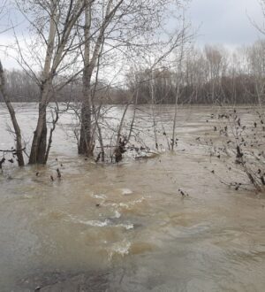 Половодье в России этой весной будет сложным