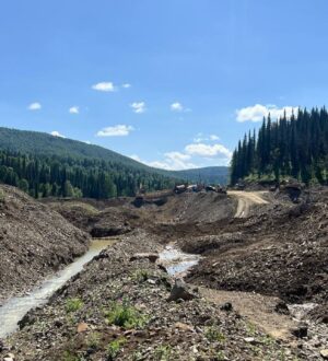 В Кузбассе золотодобытчика обязали заплатить 4,5 млн рублей за испорченную реку