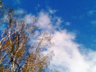 Кузбассовцев экстренно предупредили об усилении ветра