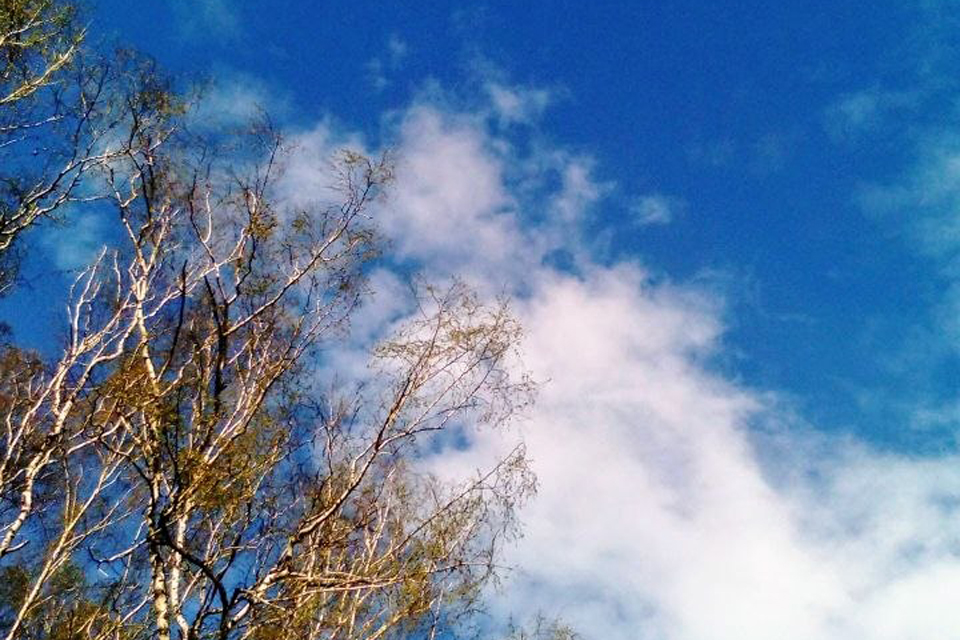 Кузбассовцев экстренно предупредили об усилении ветра