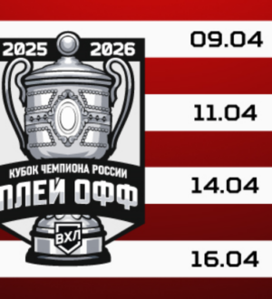 В четвертьфинале плей-офф новокузнецкий «Металлург» сыграет с «Горняком-УГМК»