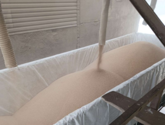 В Россельхознадзоре рассказали, куда уходят кузбасские рапс и пшеница