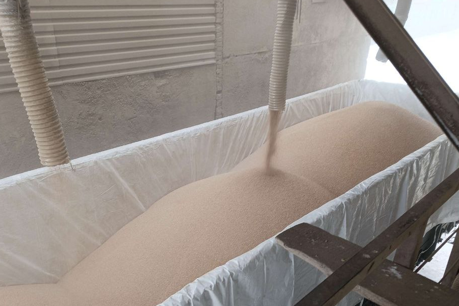 В Россельхознадзоре рассказали, куда уходят кузбасские рапс и пшеница