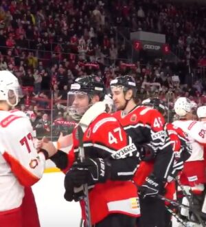 Новокузнецкий «Металлург» одолел в пятой встрече «Горняк-УГМК» и вышел в полуфинал