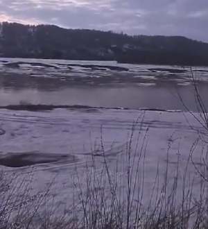 На Томи и Кондоме в Новокузнецком муниципальном округе начался ледоход