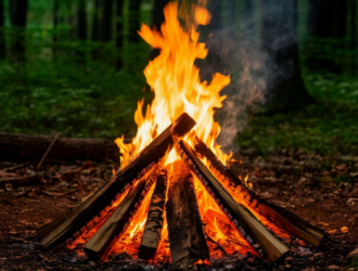 Без шашлыков и костра в походе: в Кузбассе начался особый противопожарный режим