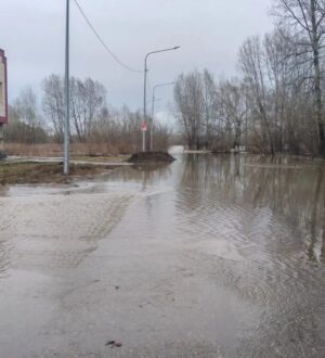 Глава Новокузнецка сообщил, что до опасного уровня воды в Томи осталось всего 10 сантиметров