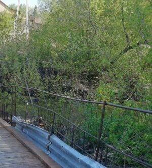 Поднявшаяся река Бачат разрушила пешеходный мост в Гурьевске