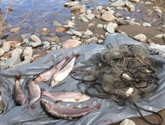 В Новокузнецком округе ищут рыбаков-браконьеров