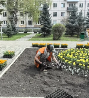 В Новокузнецке озеленители приступили к посадке цветов