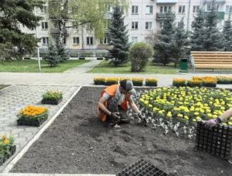 В Новокузнецке озеленители приступили к посадке цветов