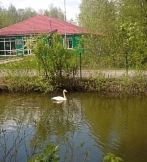 Экоцентр «Кузнецкий Алатау» в Междуреченске зовет на праздник ко Дню защиты детей