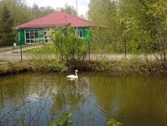 Экоцентр «Кузнецкий Алатау» в Междуреченске зовет на праздник ко Дню защиты детей