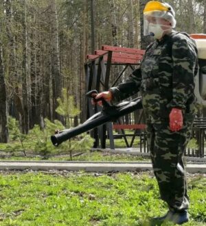 В Прокопьевске за два дня обработают кладбища от клещей