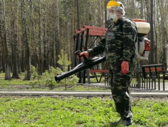 В Прокопьевске за два дня обработают кладбища от клещей