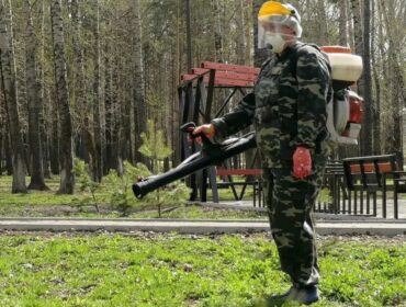 В Прокопьевске за два дня обработают кладбища от клещей