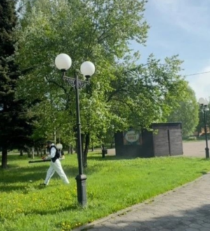 В Новокузнецке 20 мая начнут обрабатывать парки и скверы от клещей