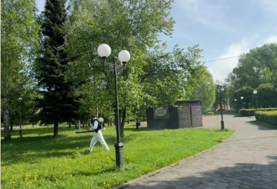 В Новокузнецке 20 мая начнут обрабатывать парки и скверы от клещей