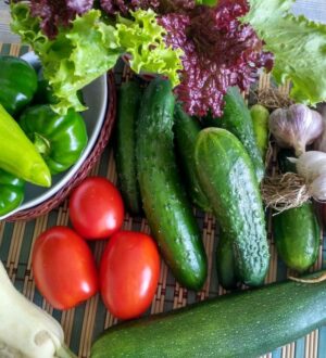 В России подорожала месячная корзина продуктов