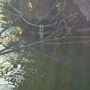 В Белове «большая вода» почти ушла из микрорайона «Треугольник»