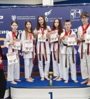Новокузнецкие спортсмены взяли награды всероссийского турнира по тхэквондо