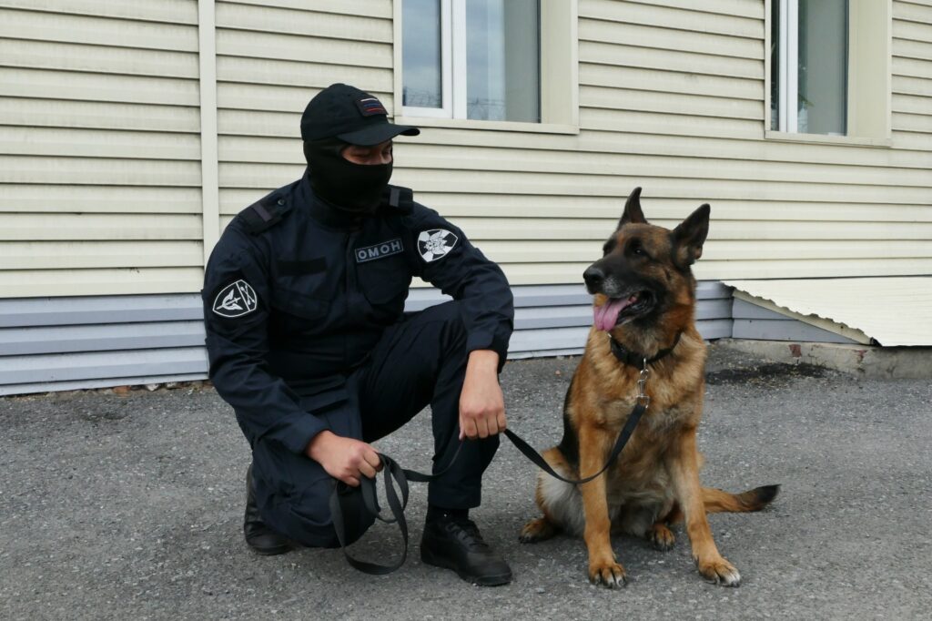 Кузбасские кинологи рассказали о своих хвостатых напарниках