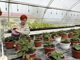 Две жительницы Кузбасса представят свои проекты на федеральном этапе конкурса «Женщины в АПК»