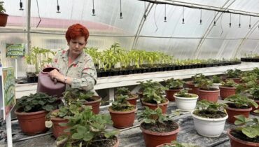 Две жительницы Кузбасса представят свои проекты на федеральном этапе конкурса «Женщины в АПК»