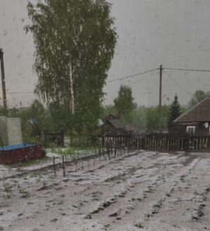 «Разнес все, что посадили»: Прокопьевск засыпало градом