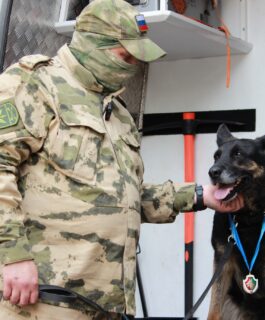 Кузбасские кинологи рассказали о своих хвостатых напарниках