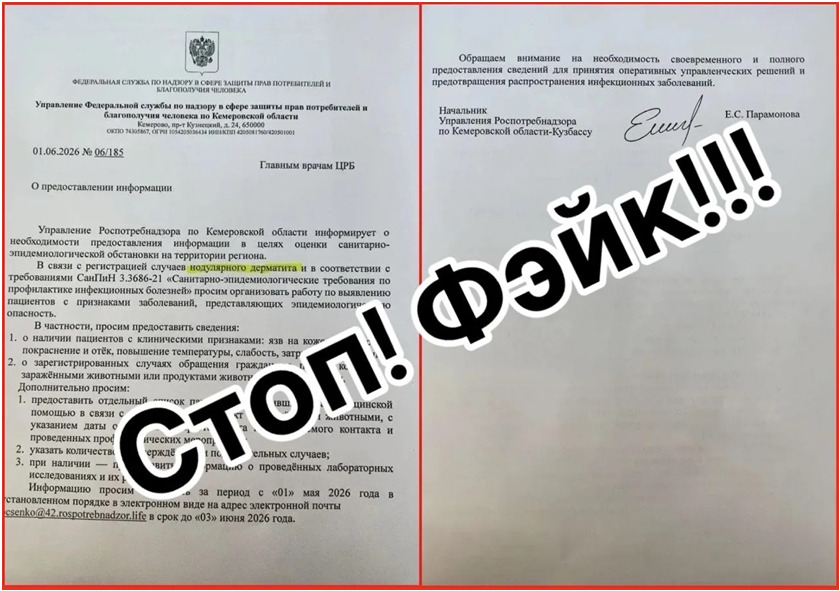 Неизвестные под видом Роспотребназдора запустили в Кузбассе фейк на горячую тему