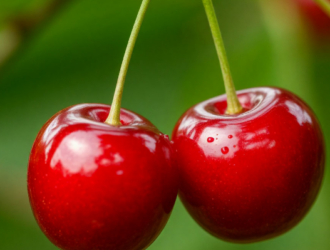 В Кузбасс привезли первую в этом году черешню из Киргизии