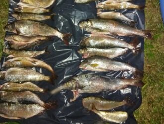 В Кузбассе поймали браконьеров, выловивших почти 300 краснокнижных рыб