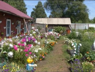 Жителей Киселевска приглашают принять участие в городском конкурсе
