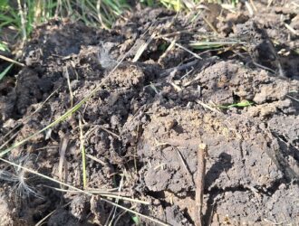 В Кузбассе разрез оштрафовали за отказ рекультивировать нарушенные земли