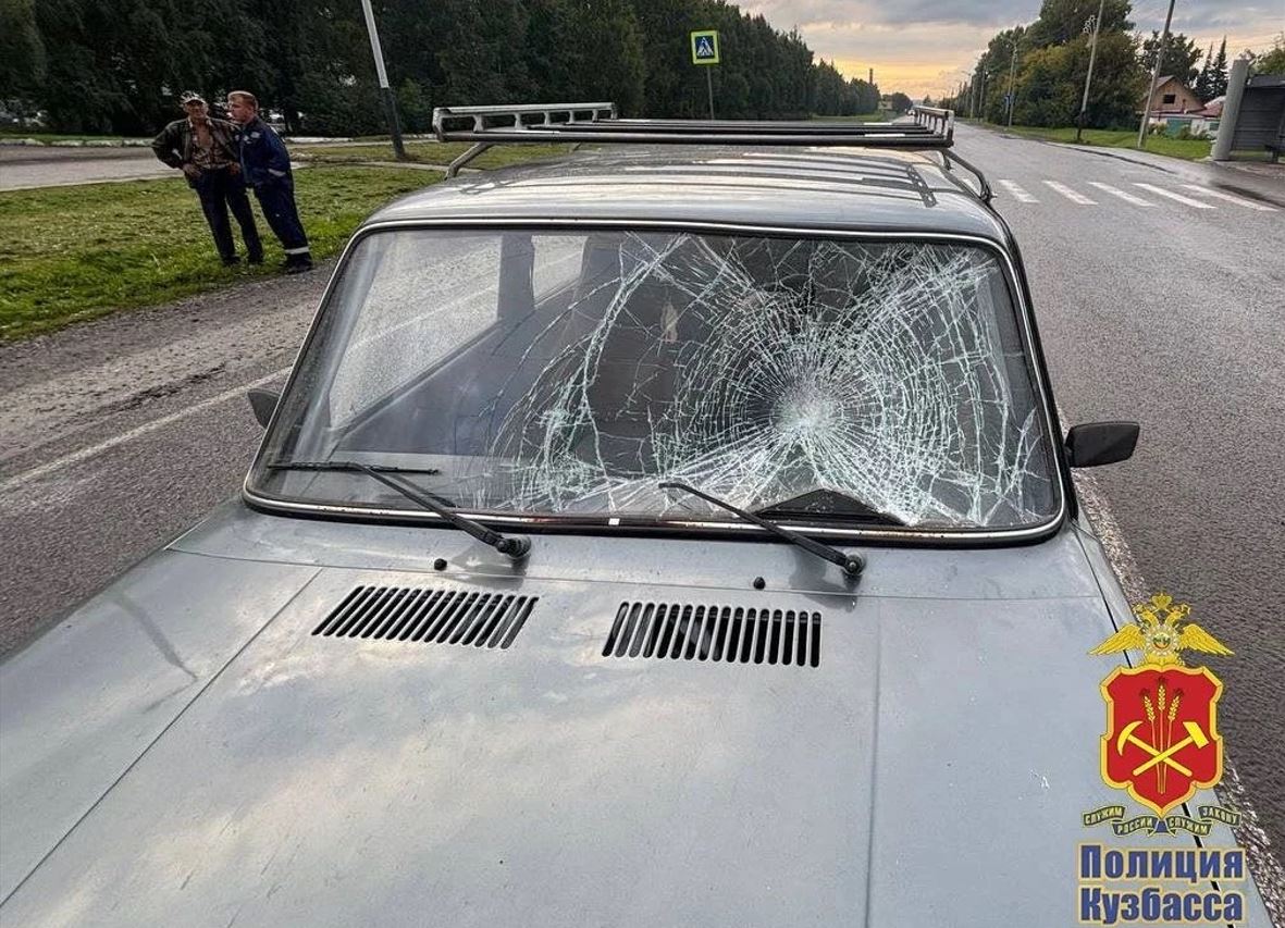 Под суд: 72-летний кузбассовец на ВАЗе сбил пенсионерку на переходе