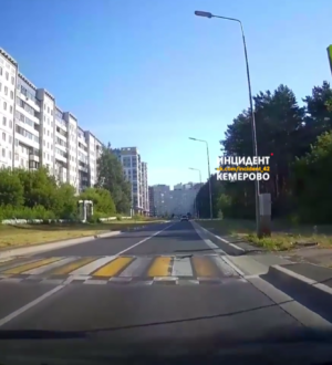 Перешедшая дорогу по правилам белка восхитила жителей Кемерова