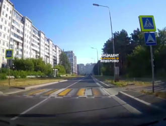 Перешедшая дорогу по правилам белка восхитила жителей Кемерова