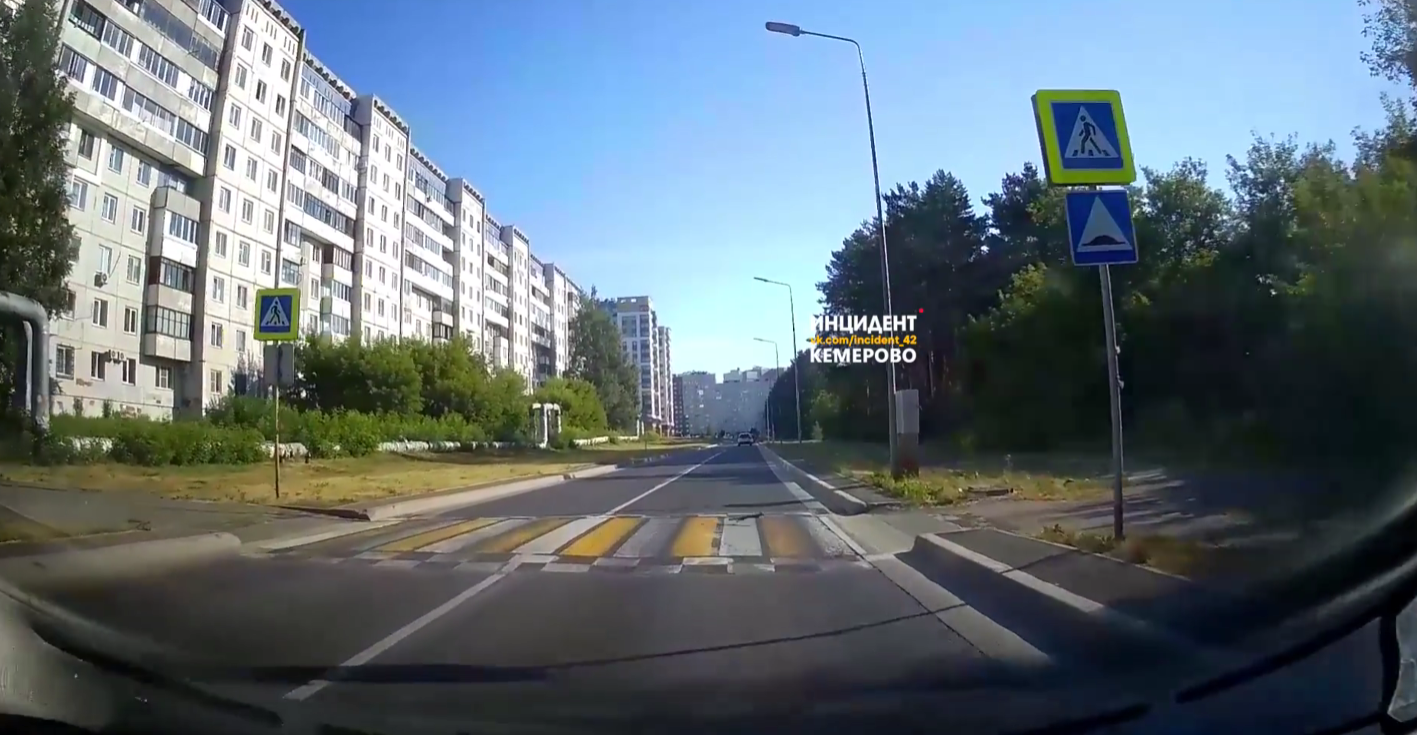 Перешедшая дорогу по правилам белка восхитила жителей Кемерова
